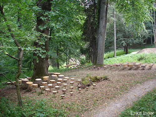 07-Abheben-2006-Holz-Stahlstangen-Kunst-in-der-Landschaft-Lilienfeld-A-